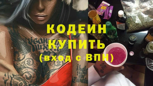 хмурый Богородицк