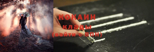 эйфоретик Богородск