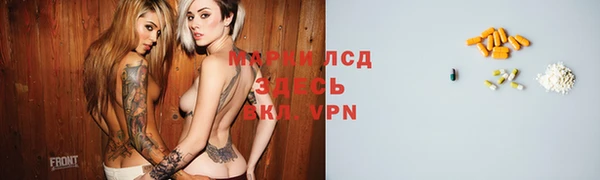 спайс Богданович