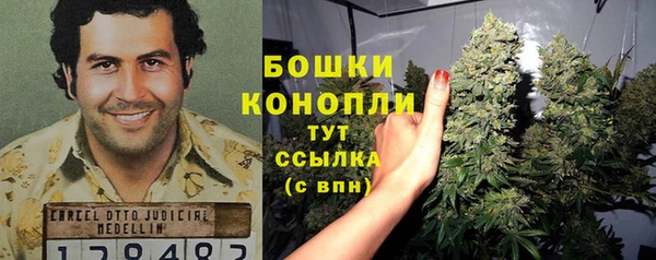 спайс Богданович