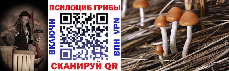 Галлюциногенные грибы прущие грибы  Тюкалинск 